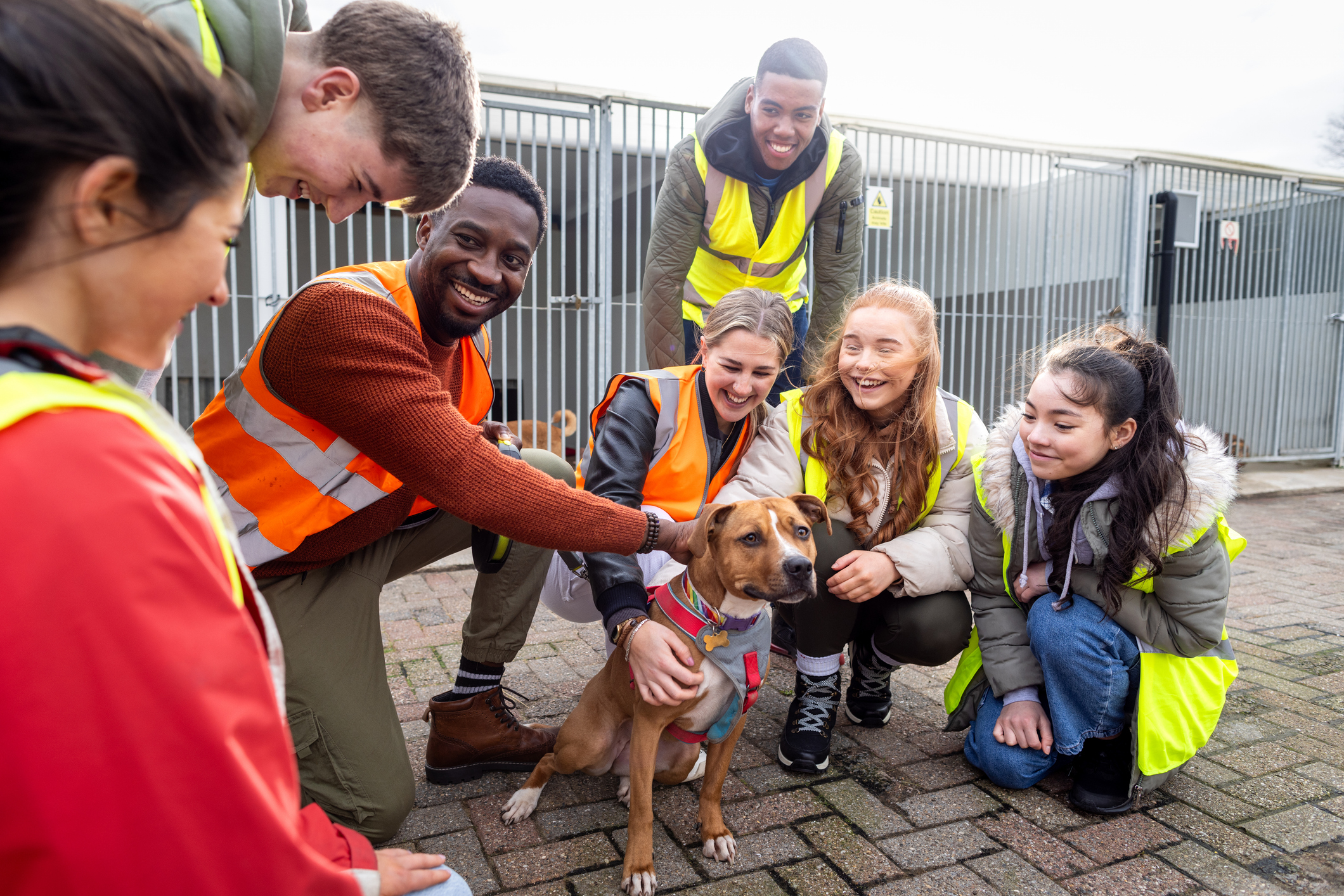 Kids volunteering with animals